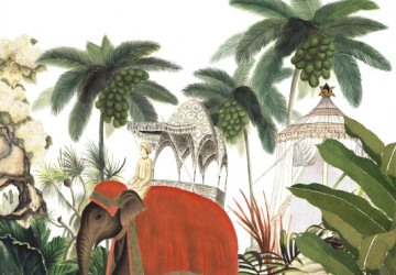 fil üstünde adam ve palmiye…